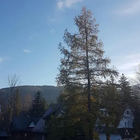 Arnika Pensjonat *