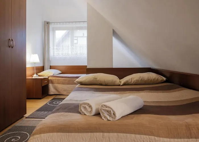 Arnika בית הארחה זקופאנה