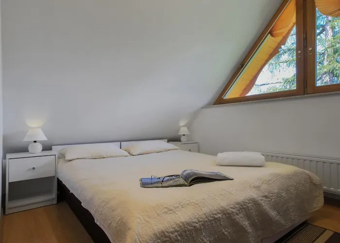 Arnika זקופאנה