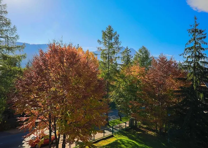 Arnika בית הארחה זקופאנה